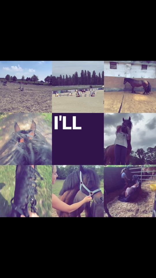 TikTok video thumbnail by horsey_loving_
