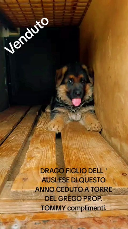 TikTok video thumbnail by alfredogiannetti16