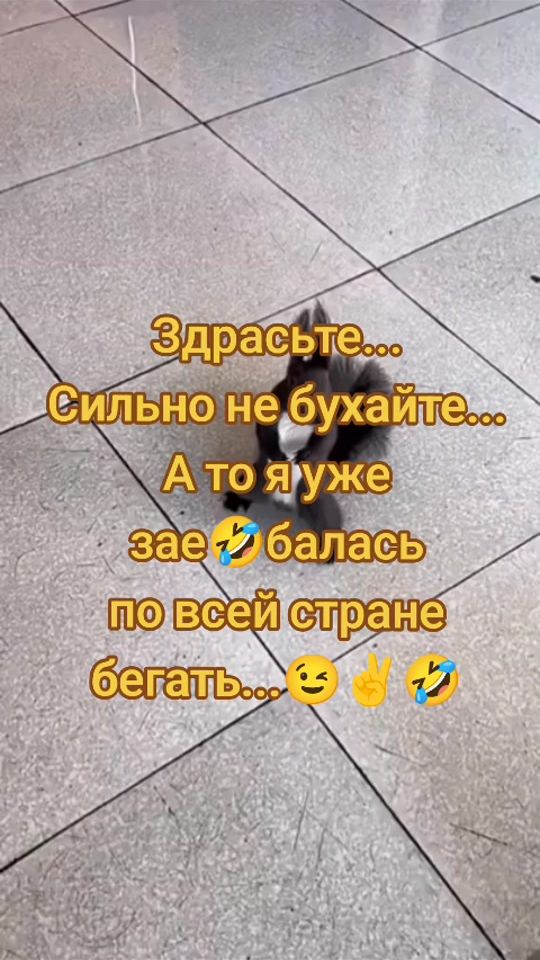 TikTok video thumbnail by dudniknataliao