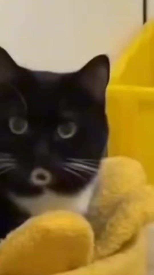 TikTok video thumbnail by samael2906