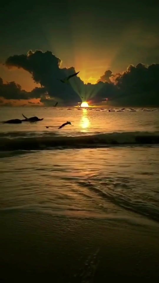 TikTok video thumbnail by lovewisesharing