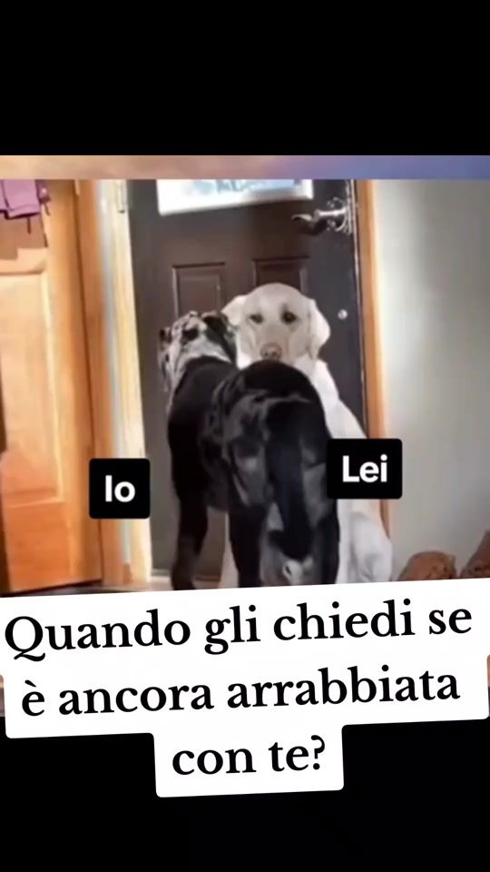 TikTok video thumbnail by gracip2024