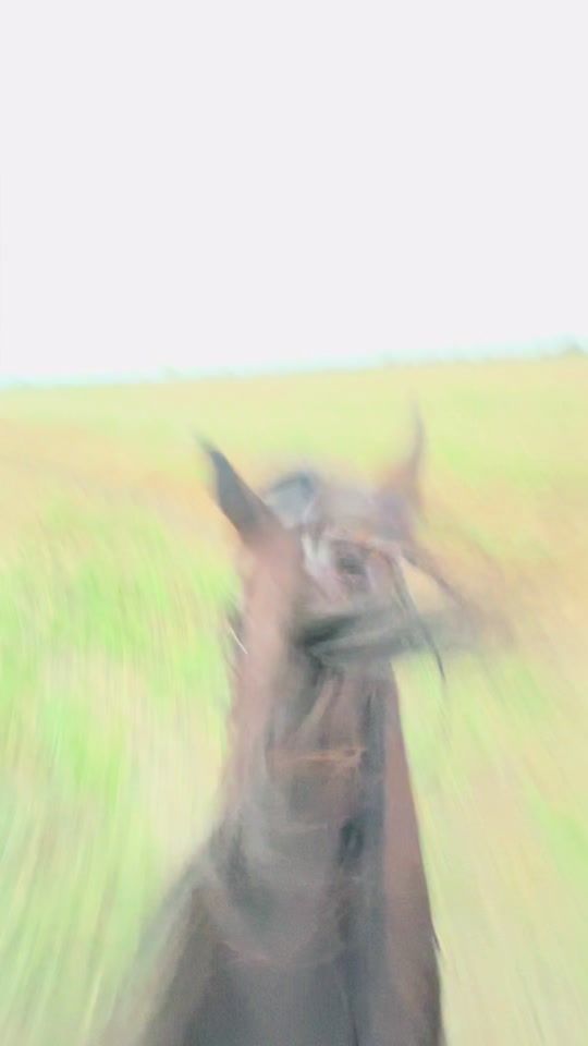 TikTok video thumbnail by luca_forgo