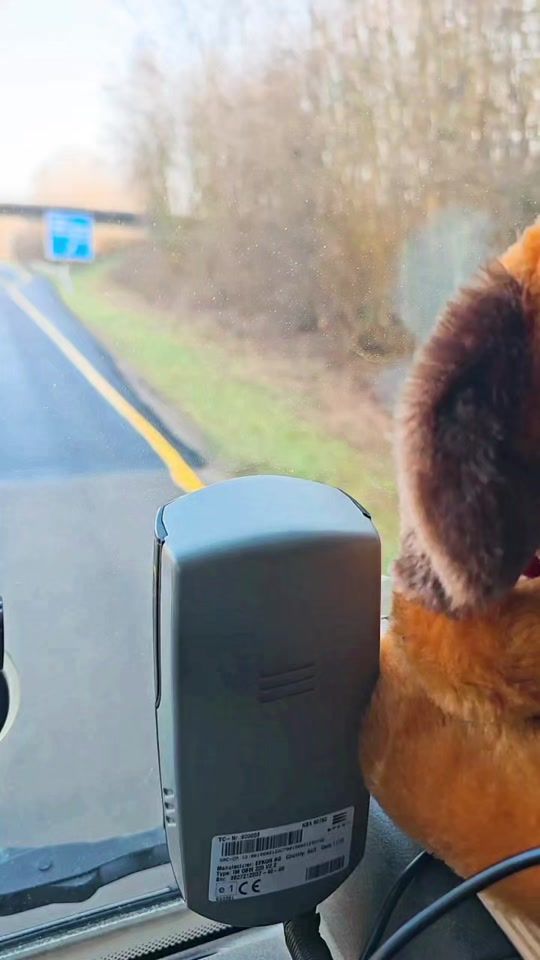 TikTok video thumbnail by omr.herzo