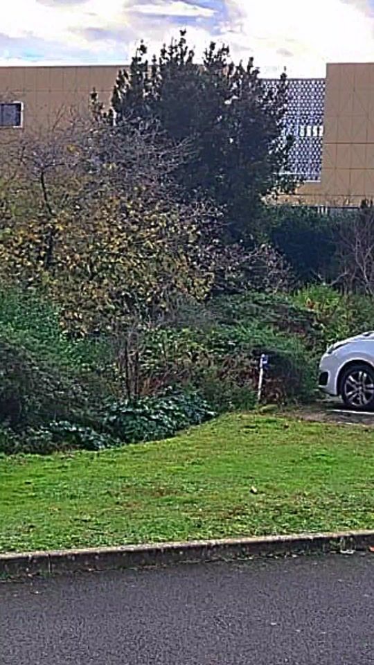 TikTok video thumbnail by tom.besnard1