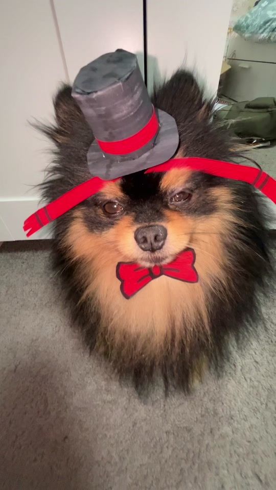TikTok video thumbnail by visciousz