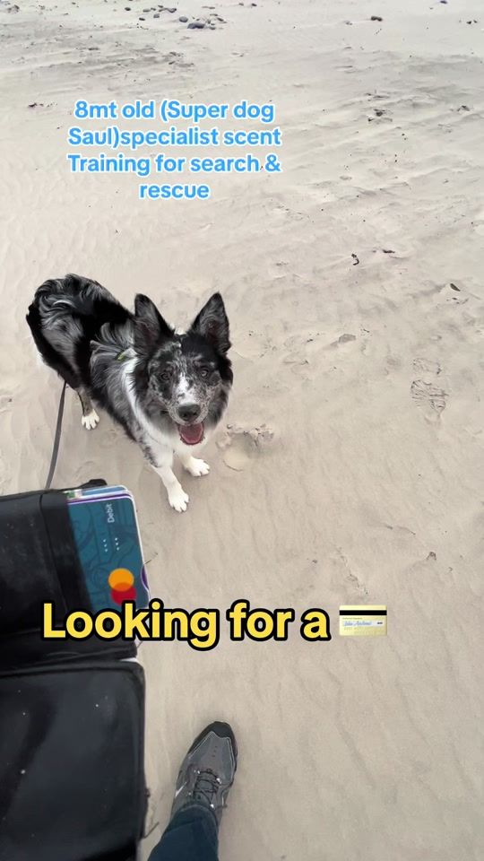 TikTok video thumbnail by superdogsaul