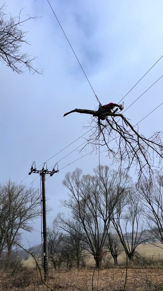 TikTok video thumbnail by _tree__power_master_