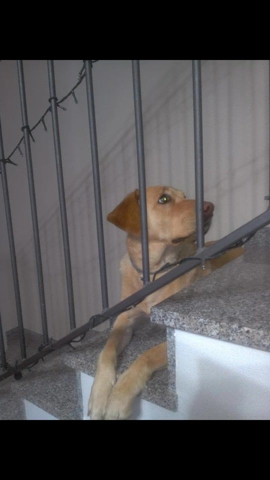 TikTok video thumbnail by oscarolex