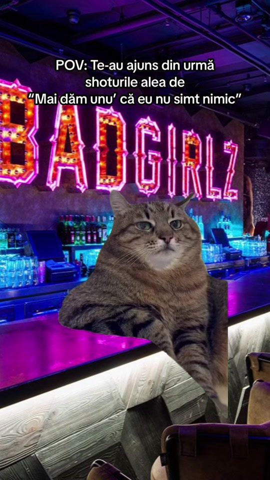 TikTok video thumbnail by iamvdenisa