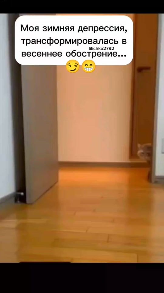 TikTok video thumbnail by galinka_sl