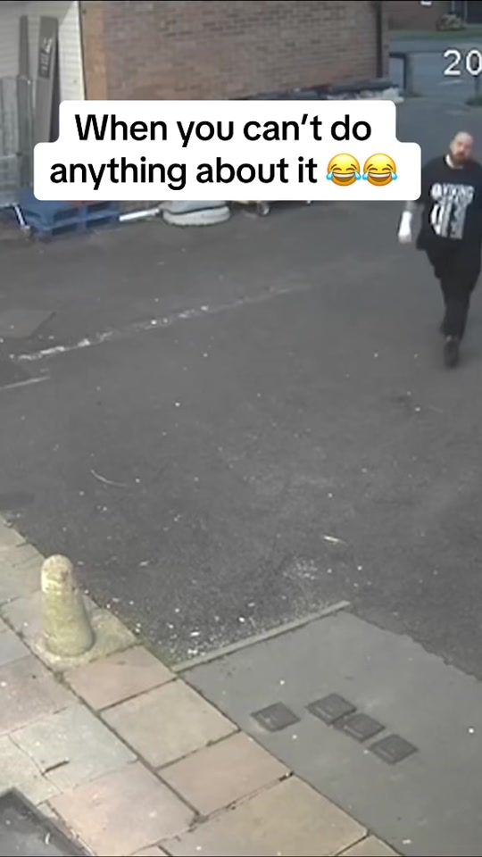 TikTok video thumbnail by smart1dan
