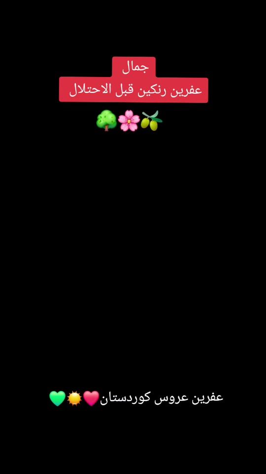 TikTok video thumbnail by afrin.zetone