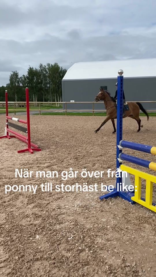 TikTok video thumbnail by kiwimargit_hast