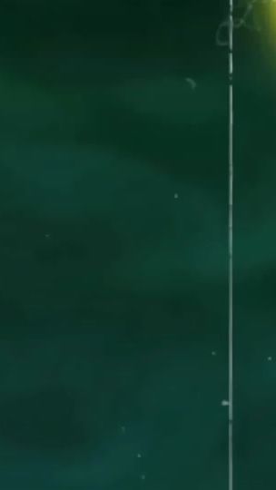 TikTok video thumbnail by tyr.zs