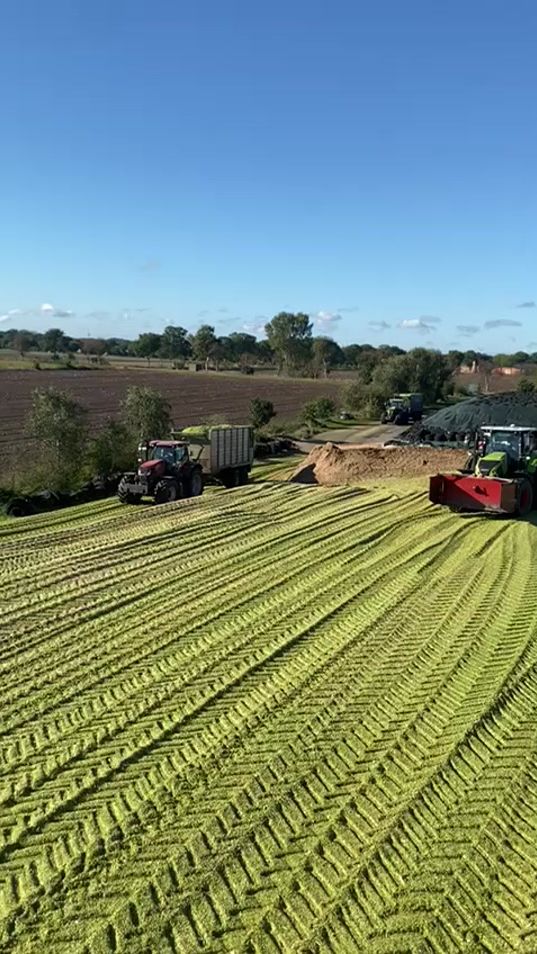 TikTok video thumbnail by fischkop98