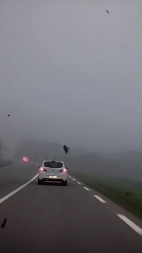 TikTok video thumbnail by lcsh20