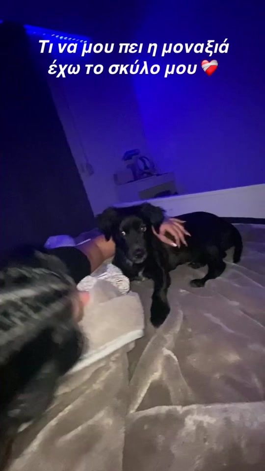 TikTok video thumbnail by alkma_