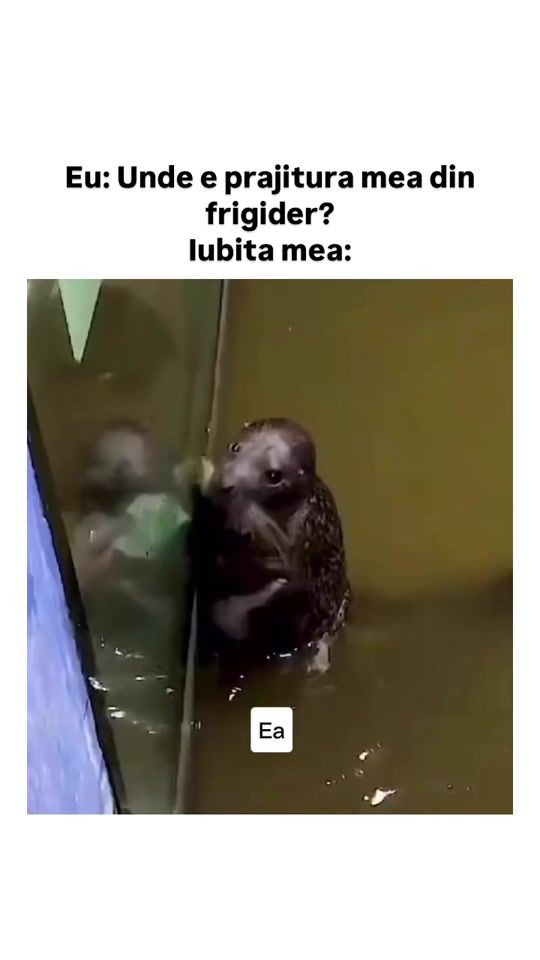 TikTok video thumbnail by radiosimpluro