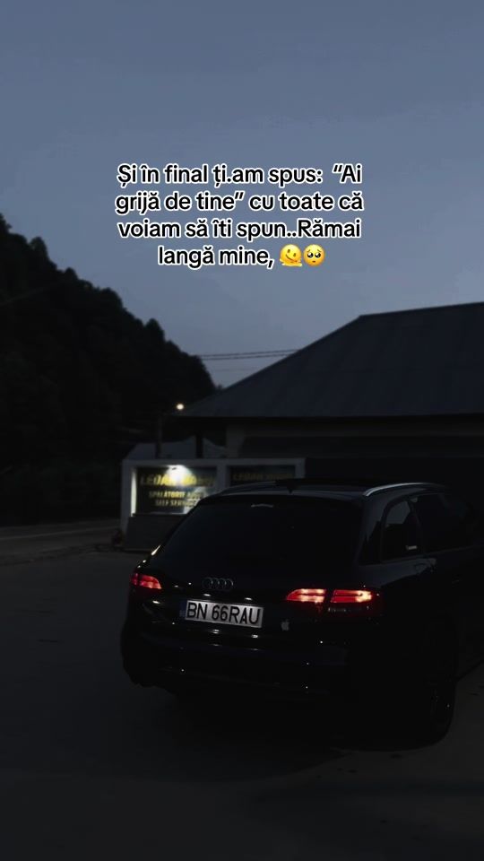 TikTok video thumbnail by neacsaraul17