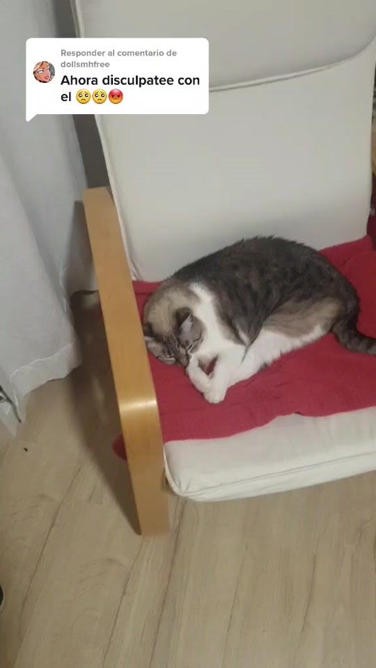 TikTok video thumbnail by diegopelusa19