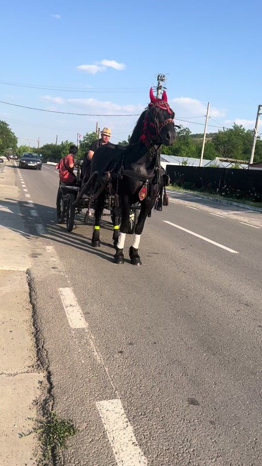 TikTok video thumbnail by mirelaafteni2