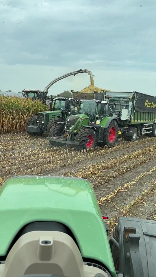 TikTok video thumbnail by hoffihof_