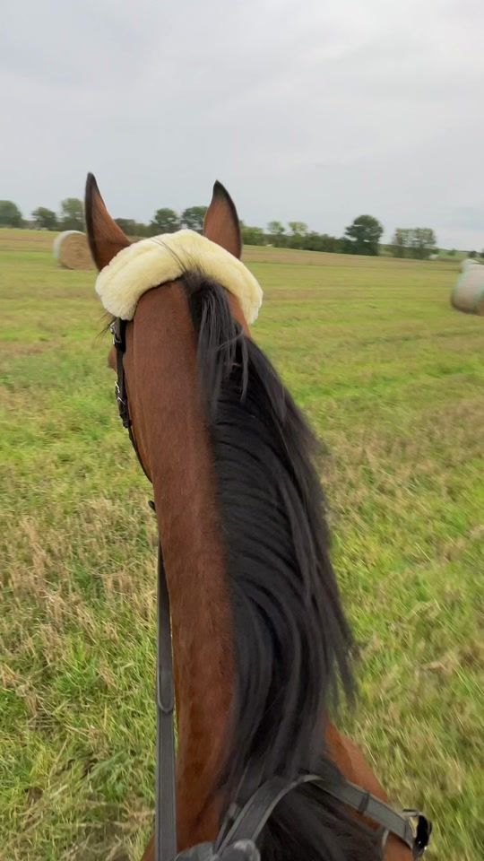 TikTok video thumbnail by saphira.lilly