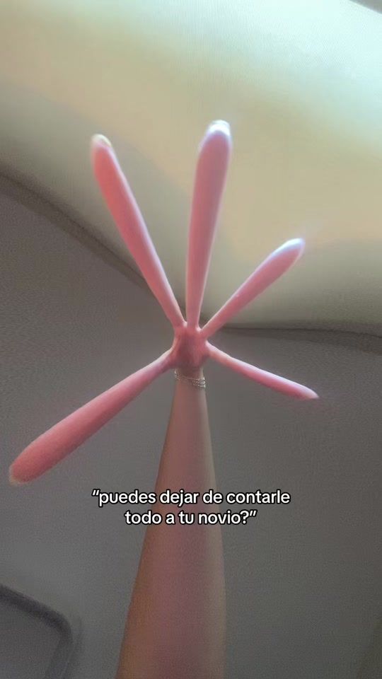TikTok video thumbnail by laschatiiss