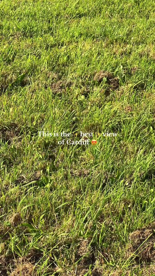 TikTok video thumbnail by elanial