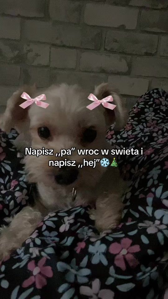 TikTok video thumbnail by dzaga._jest_fajnaa._