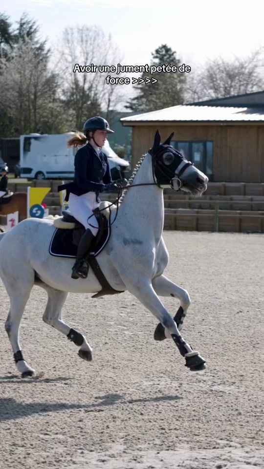 TikTok video thumbnail by india_ducay