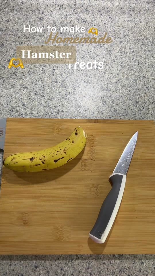 TikTok video thumbnail by yourl0calhamstergirl