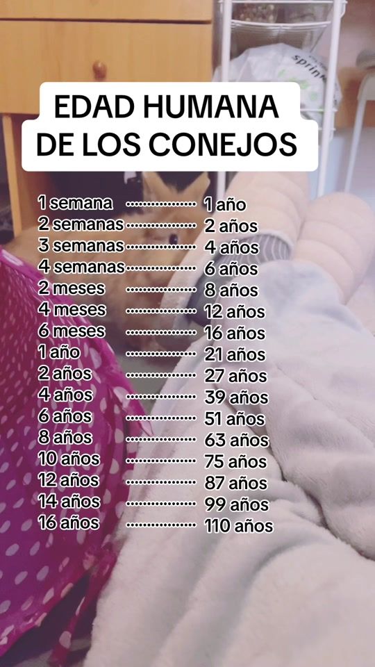 TikTok video thumbnail by leoncabezadeleon