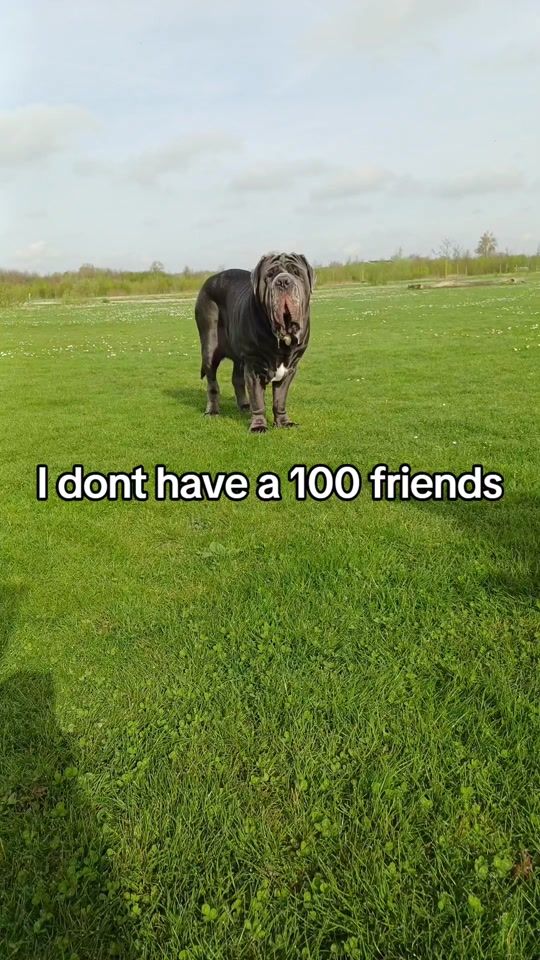 TikTok video thumbnail by bubbatheneo