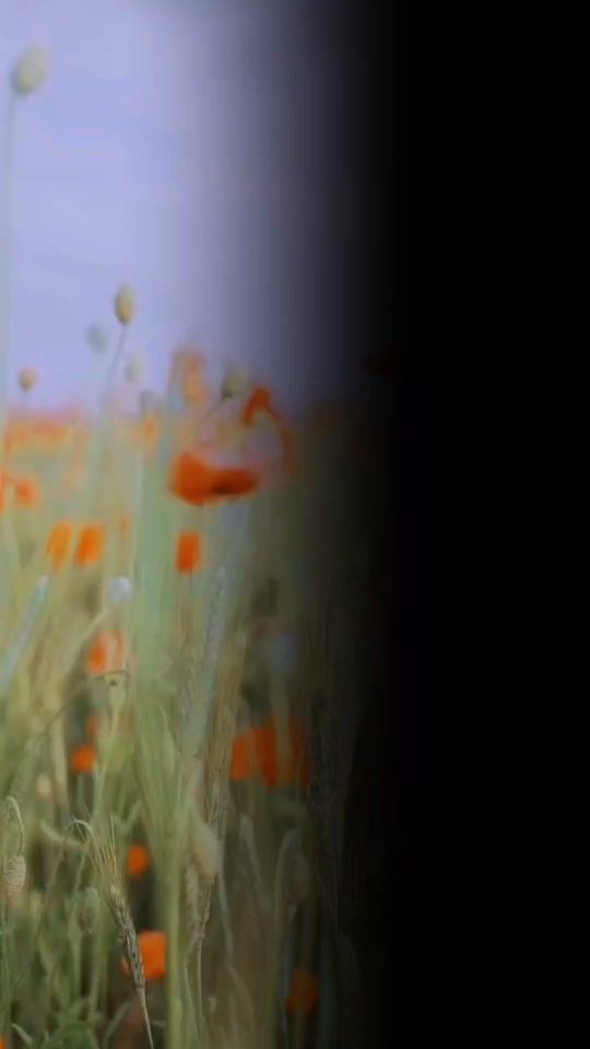 TikTok video thumbnail by user450619083385125