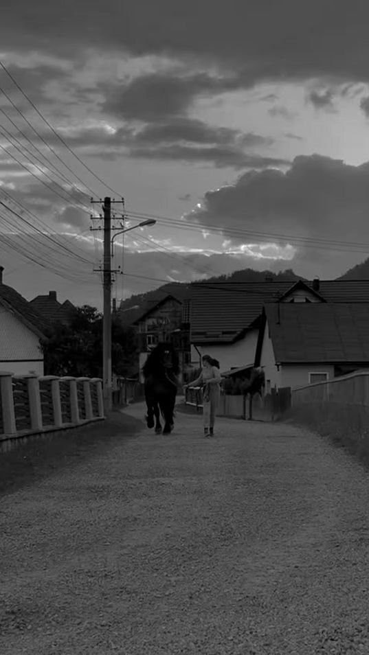 TikTok video thumbnail by harmasaridebucovina