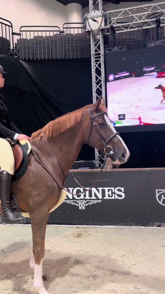 TikTok video thumbnail by pehubacko