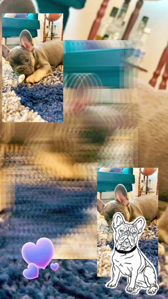 TikTok video thumbnail by dilandra4