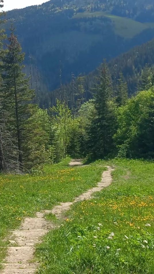 TikTok video thumbnail by goroholik