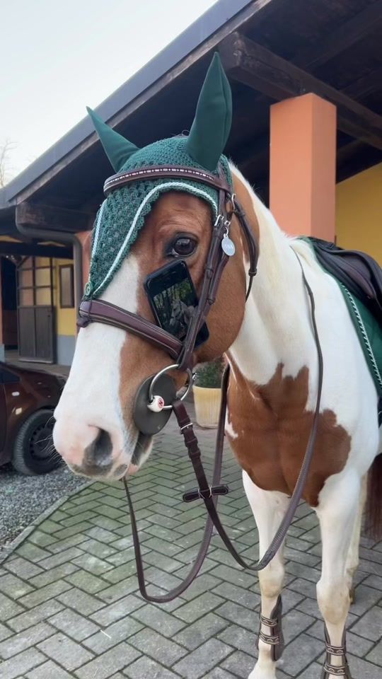 TikTok video thumbnail by chiara._.cavalieri