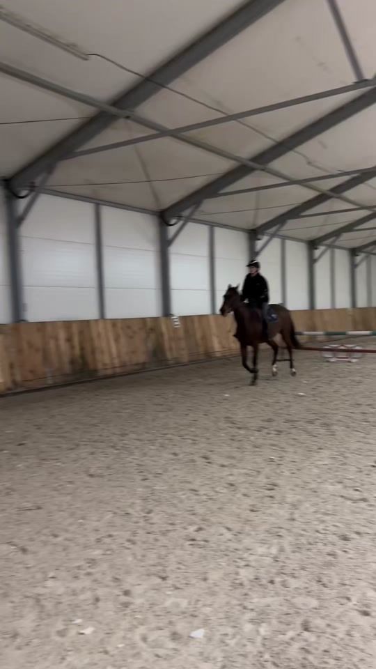 TikTok video thumbnail by thatsvic_equestrian