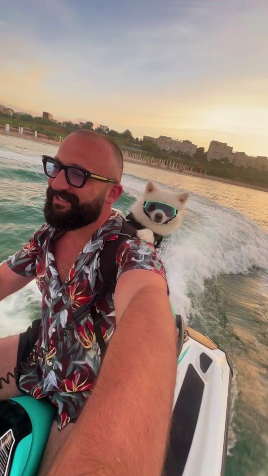 TikTok video thumbnail by balkandogdad