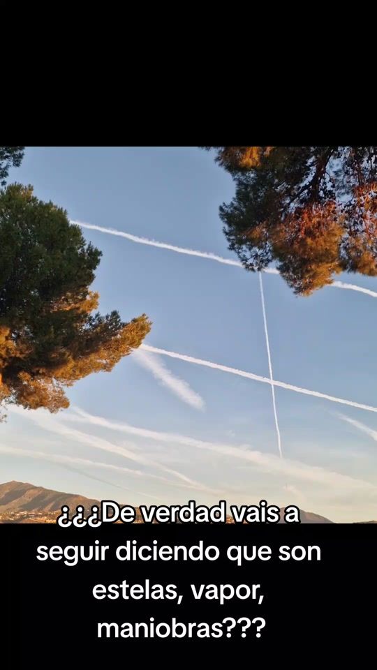 TikTok video thumbnail by ferlovetv