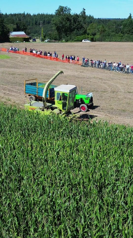 TikTok video thumbnail by victorlb22