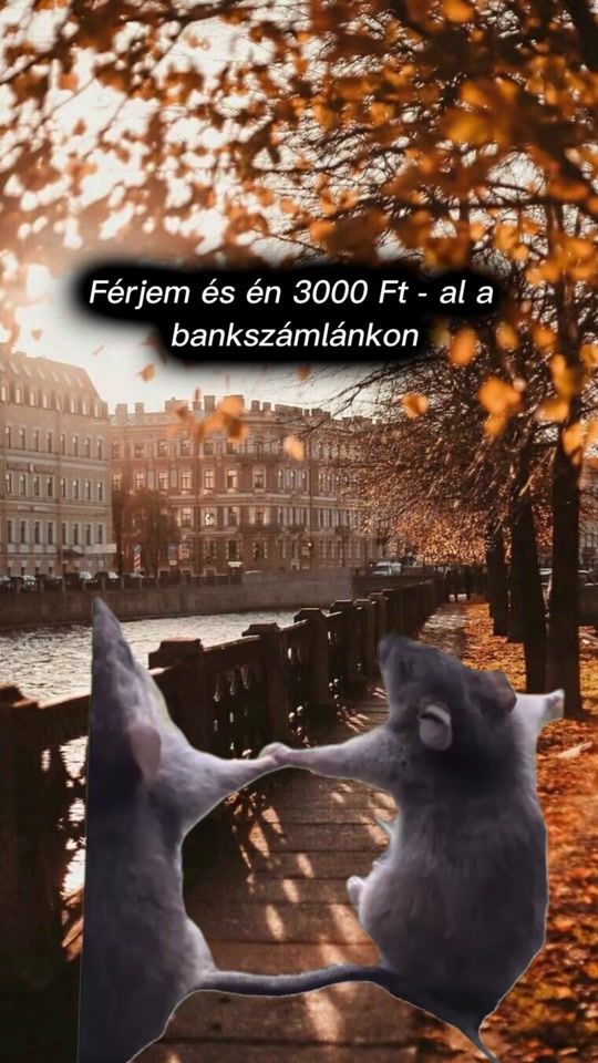 TikTok video thumbnail by nannika01