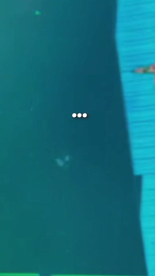 TikTok video thumbnail by jesusbiosca