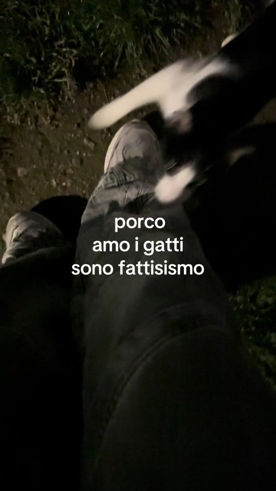 TikTok video thumbnail by mussole4n