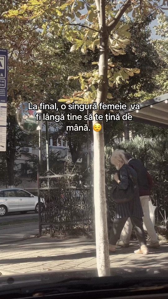 TikTok video thumbnail by alin.constantin.manole