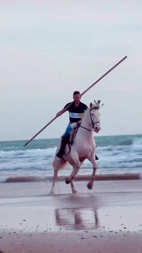 TikTok video thumbnail by pasion_taurina_flamenca